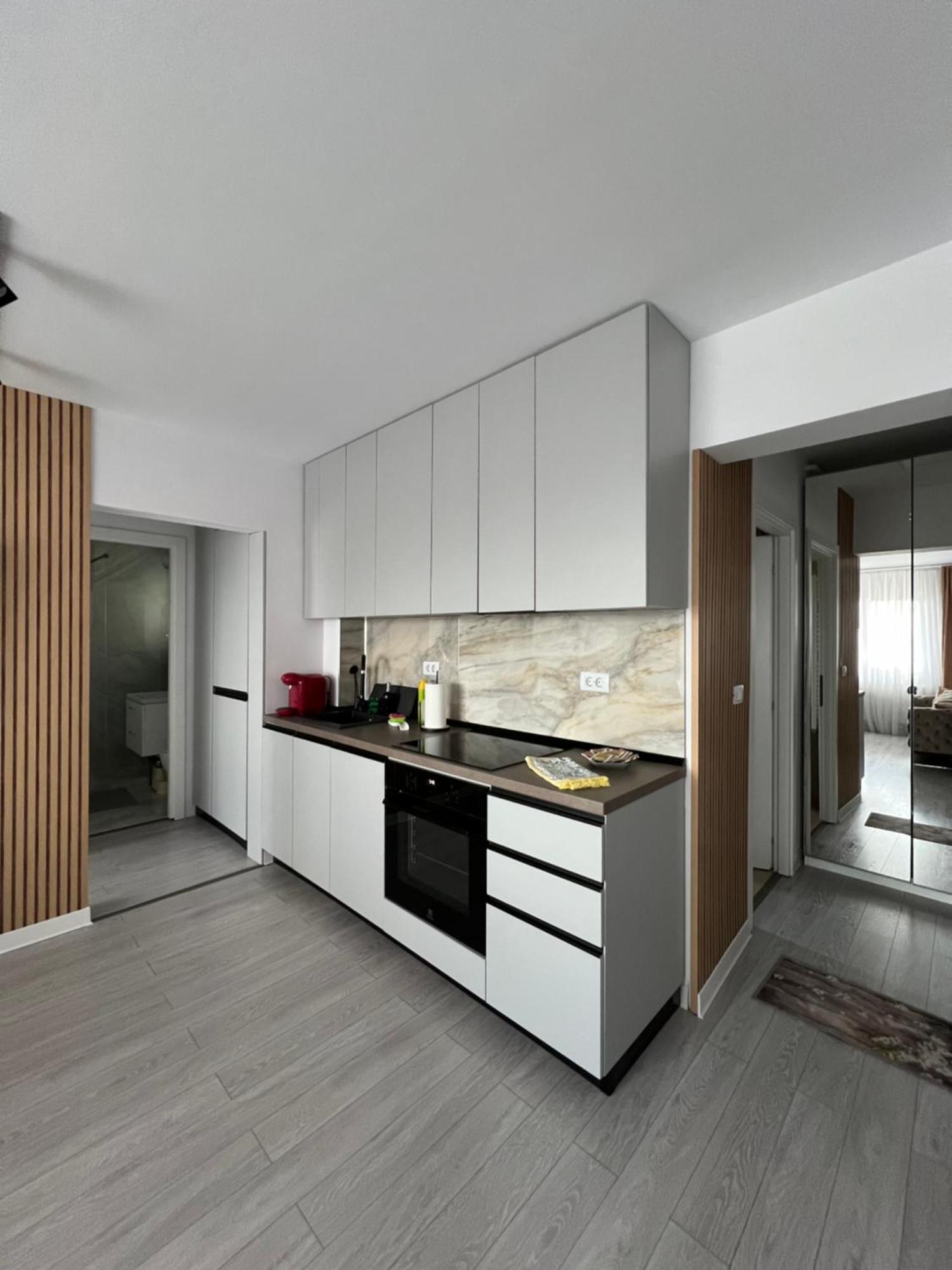 Oxana Apartments - 3 Camere - Timisoara Exterior foto